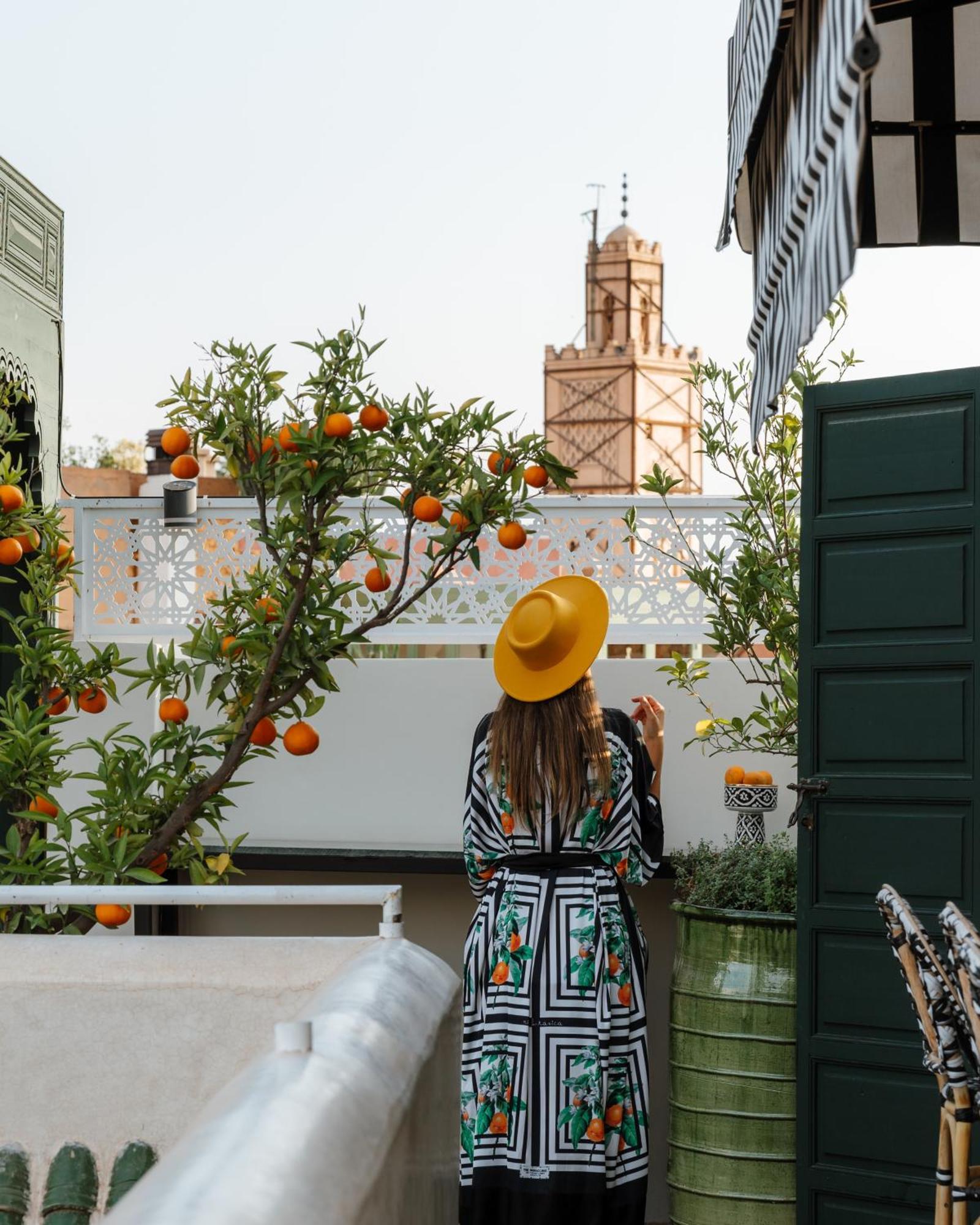 Riad Botanica مراكش المظهر الخارجي الصورة